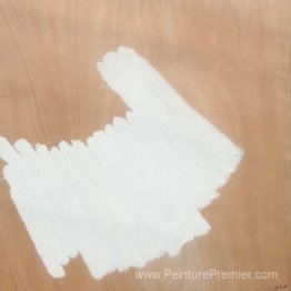 Du-dégoût Resseti Du-dégoût Resseti