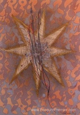 Étoile de mer Étoile de mer