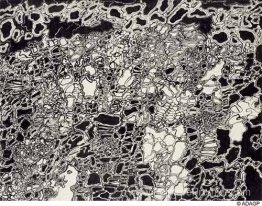 Météore brillant Météore brillant