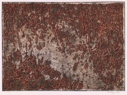 Message d'une étoile du désert Message d'une étoile du désert