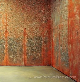 Mur de poils de carotte Mur de poils de carotte