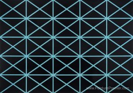 Palais de glace Palais de glace