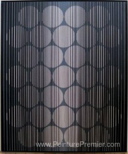 Marguerite noire Marguerite noire