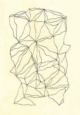 Graphomanie entopique Graphomanie entopique