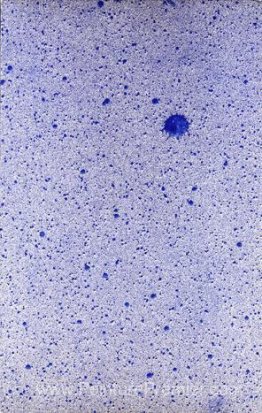 Une pluie de "plaisir" Une pluie de "plaisir"