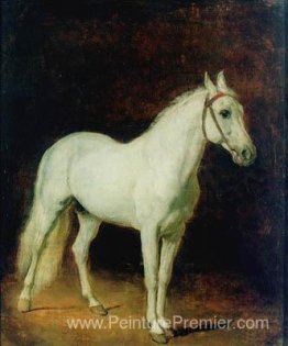 Cheval Blanc. Étude. Cheval Blanc. Étude.