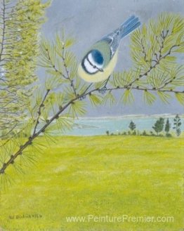 Tit bleu sur un brach d'un mélèze Tit bleu sur un brach d'un mélèze