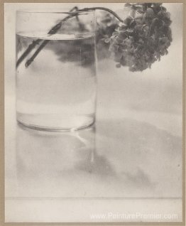 Nature morte Nature morte