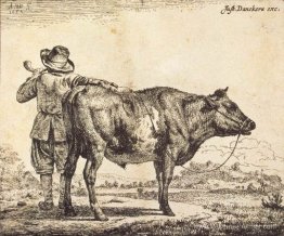 Taureau Taureau