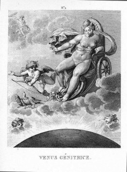 Vénus gémitrice Vénus gémitrice