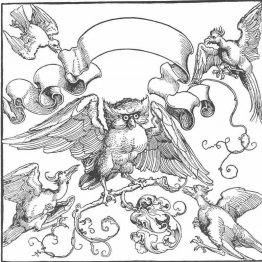 Le hibou dans le combat avec d'autres oiseaux Le hibou dans le combat avec d'autres oiseaux