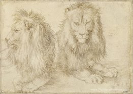 Deux lions assis Deux lions assis