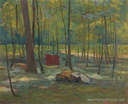 La forêt La forêt
