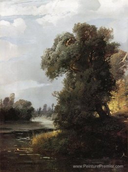 Jour d'été Jour d'été