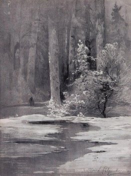 Début du printemps. Région forestière inexploitée Début du printemps. Région forestière inexploitée