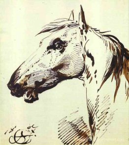 Tête d'un cheval Tête d'un cheval