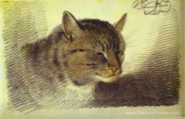 Tête d'un chat Tête d'un chat