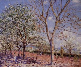 Prune et noix au printemps Prune et noix au printemps