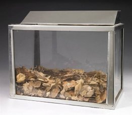 Sans titre (aquarium) Sans titre (aquarium)