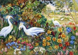 La belle terre La belle terre