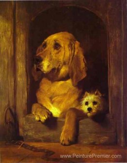 Dignité et impudence Dignité et impudence