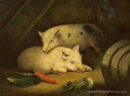 Les cochons Les cochons