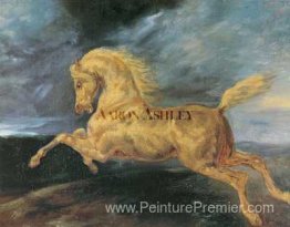 Cheval effrayé par la foudre Cheval effrayé par la foudre