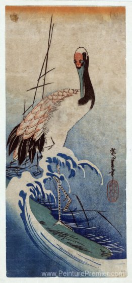 Grue en vagues Grue en vagues