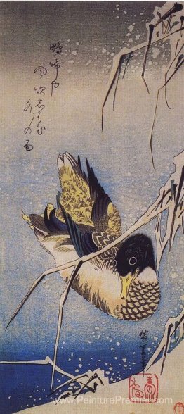Roseaux dans la neige avec un canard sauvage Roseaux dans la neige avec un canard sauvage