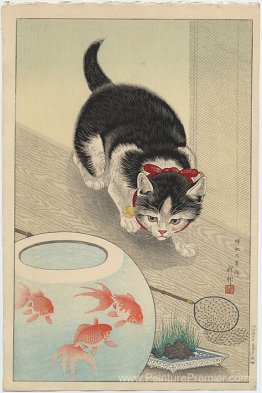 Chat et bol de poisson rouge Chat et bol de poisson rouge
