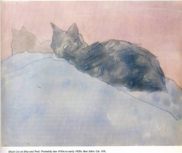 Chat noir sur bleu et rose Chat noir sur bleu et rose