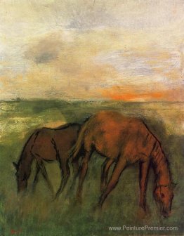 Deux chevaux dans un pâturage Deux chevaux dans un pâturage