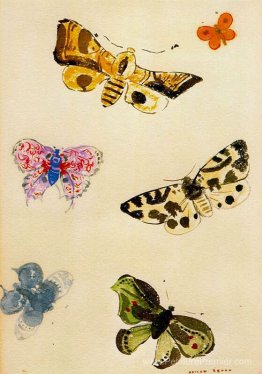 Papillons Papillons