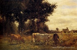 Vaches pâturant Vaches pâturant