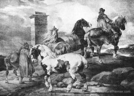 Les chevaux Les chevaux