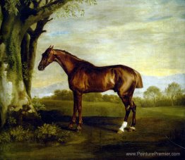 Un cheval de course châtain Un cheval de course châtain
