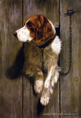 À la porte du chenil À la porte du chenil