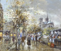 Parigi, Les Bouquinistes Parigi, Les Bouquinistes