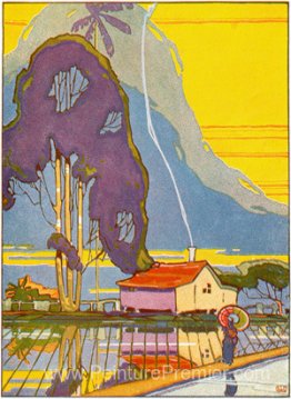 Rizières Rizières