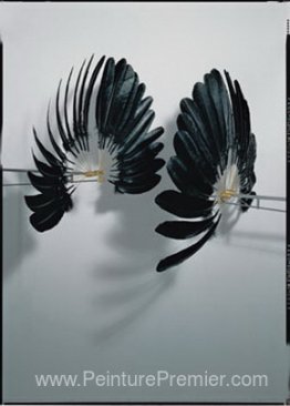 Le jumeau du corbeau Le jumeau du corbeau