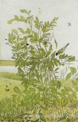 Sojabohnen Sojabohnen