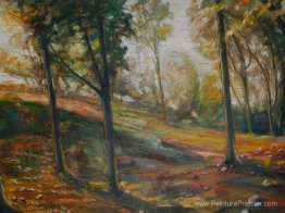 Paysage d'Orange Park Paysage d'Orange Park