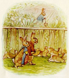 Benjamin et flopsy Bunny Benjamin et flopsy Bunny