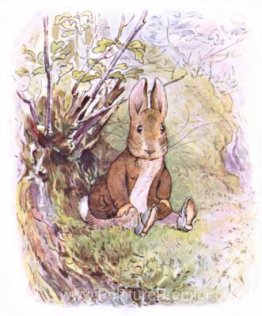 Benjamin Bunny Benjamin Bunny
