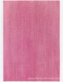 Échantillon de couleur pour la peinture (# 01'10)