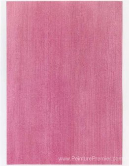 Échantillon de couleur pour la peinture (# 01'10)