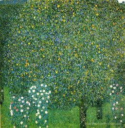 Roses sous les arbres