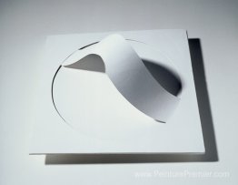 Livre de l'architecture. Béton de lance libre