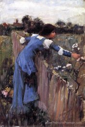 Le cueilleur de fleurs