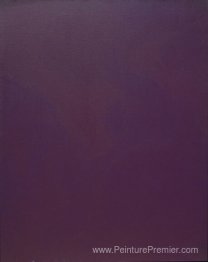Microchromie 70, ZL viola d'Egypte